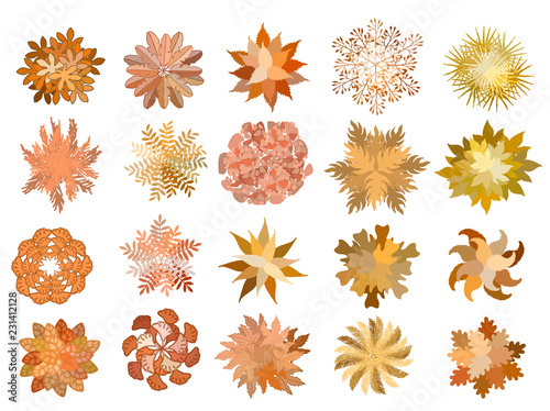 Set of colored hand drawn stylized top view autumn trees and plants. Graphic, isolated on white, vector.