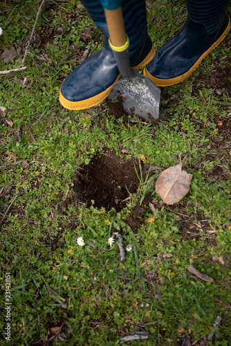 gardening tools in the gardendigging compost hole
