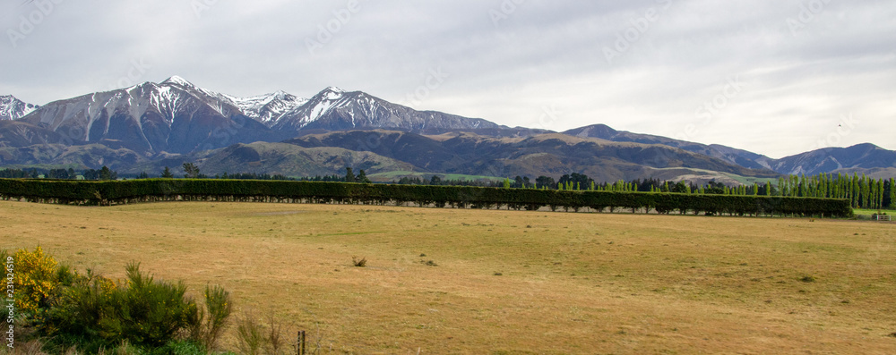 Fototapeta premium Canterbury Plains, NZ