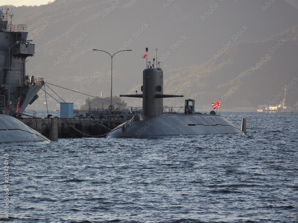 Fototapeta premium 潜水艦