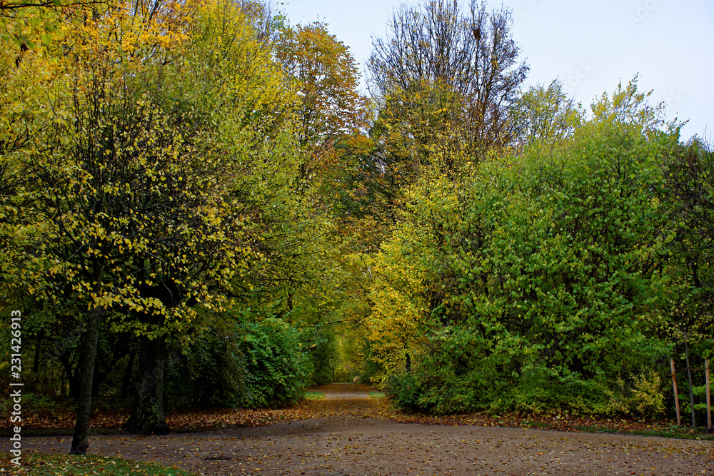 Naklejka premium autumn day in a deserted Park