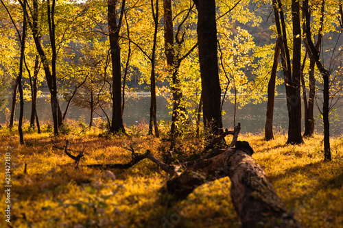 Fall lake