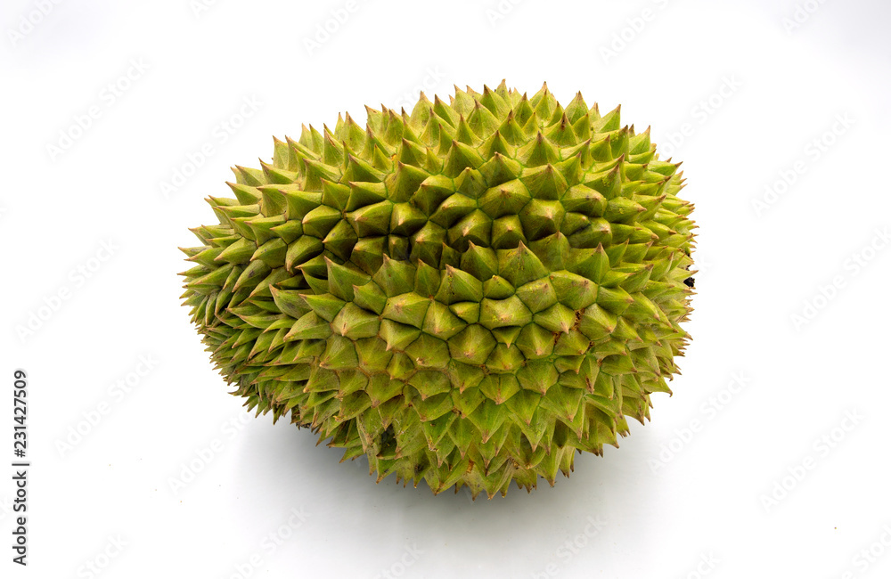 Durian tropical fruit on white background. King of fruits with smell. Exotic fruit durian studio photo. Durian tropical fruit on white background. King of fruits with smell. Exotic fruit durian studio photo.
