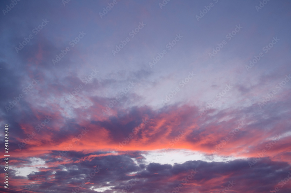 pink clouds in the sky illuminated by sunrise