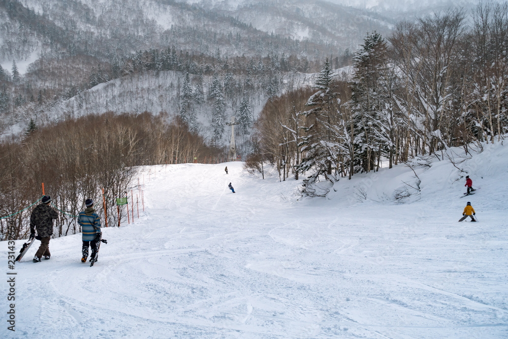北海道のスキー場 / 北海道札幌市の観光イメージ