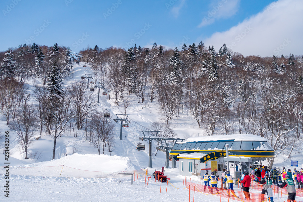 Naklejka premium 北海道のスキー場 / 北海道札幌市の観光イメージ