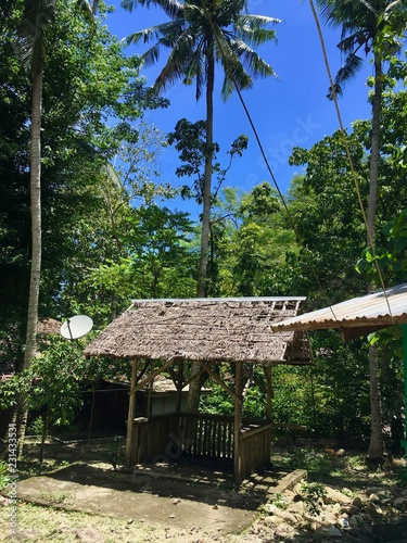 Pavilion in the Philippine jungle made of bamboo surrounded by palm trees, Mindoro, Philippines