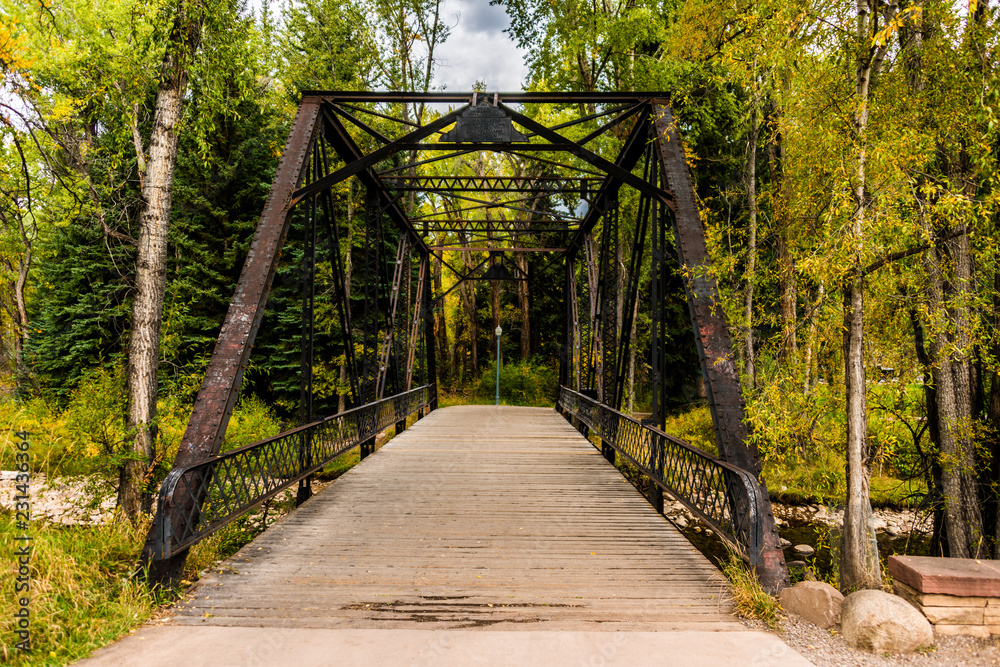 Fototapeta premium Fall Bridge
