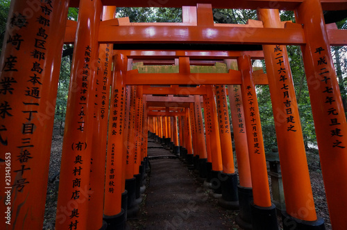 Fushimi Inari Shrine in Kyoto, Japan