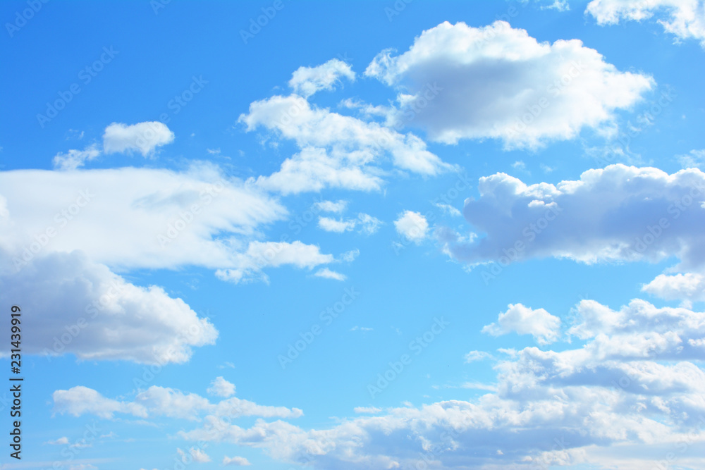 Fototapeta premium さわやかな空