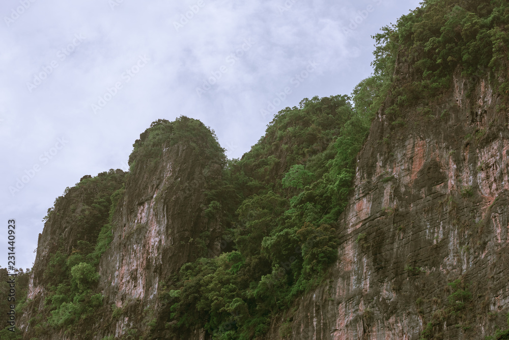 Cliff wall covered with green foliage Cliff wall covered with green foliage