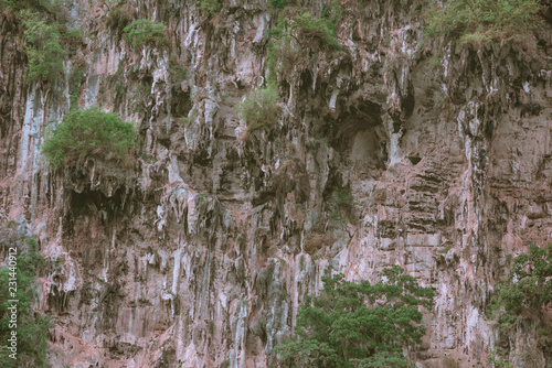 Cliff wall covered with green foliage