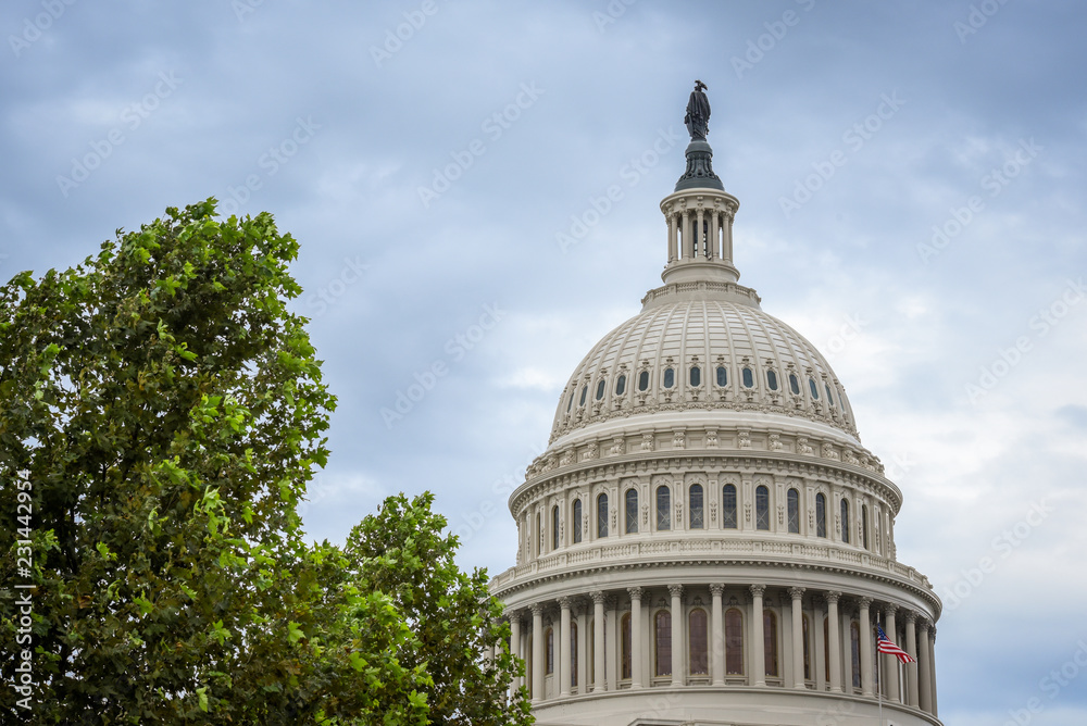 Capitol Building in Washington DC