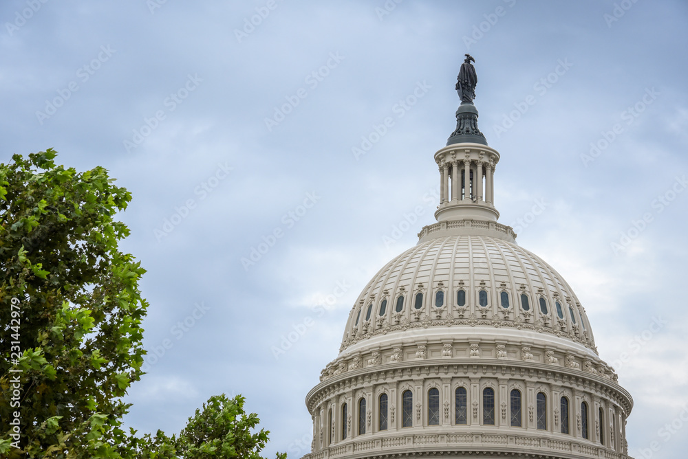 Obraz premium Capitol Building in Washington DC