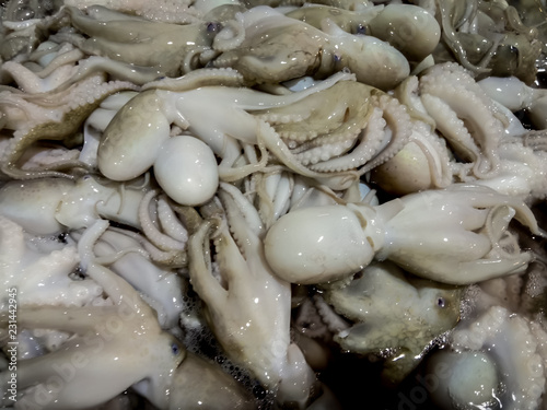 Fresh squid sold in the market.
