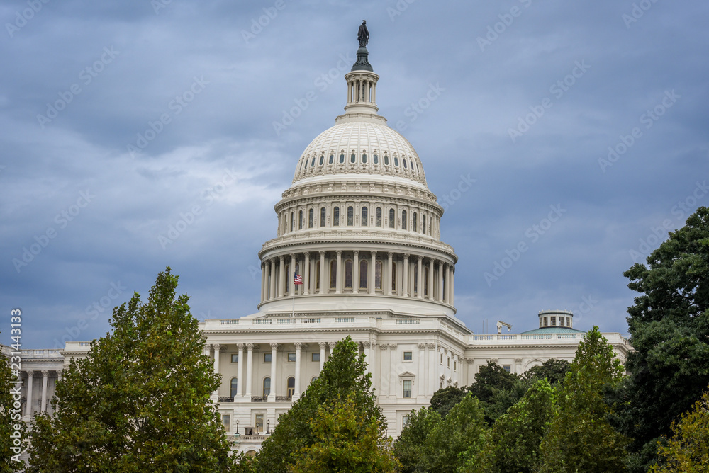 Obraz premium Capitol Building in Washington DC