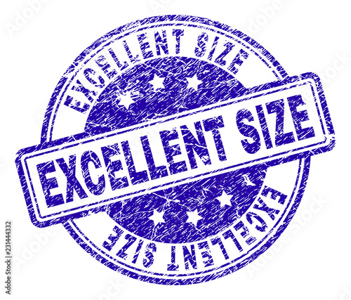 EXCELLENT SIZE stamp seal imprint with grunge texture. Designed with rounded rectangles and circles. Blue vector rubber print of EXCELLENT SIZE title with grunge texture.