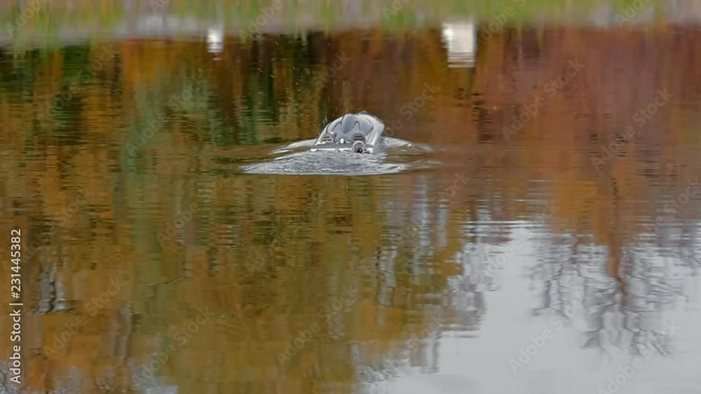 Remote control speedboat action on the lake Remote control speedboat action on the lake