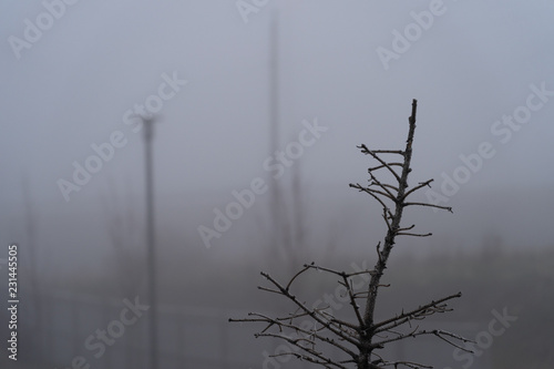 Outdoor Park in Residential area with heavy fog