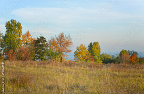 Meadow in autumn. Autumn background. Ukraine.