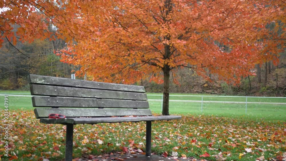Locked down shot of a park bench in autumn near park