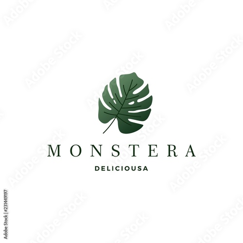 monstera deliciosa deliciousa leaf logo vector icon illustration