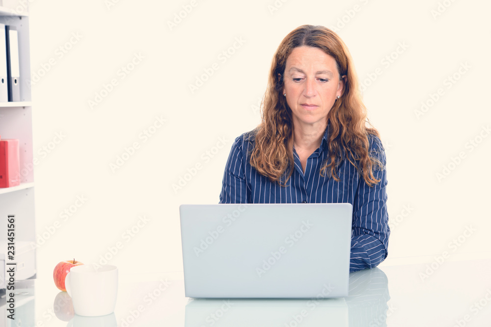 brown-haired blond businesswoman with computer brown-haired blond businesswoman with computer