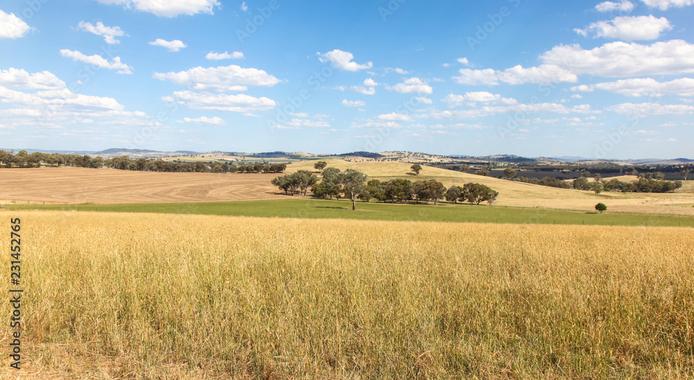 Farming Land - Cowra Australia. Located in Central Western New South Wales the area around Cowra has very good farming land.