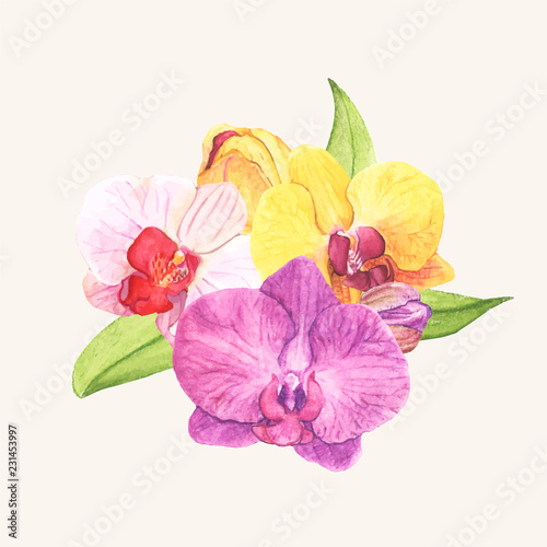 Hand drawn orchid flower isolated