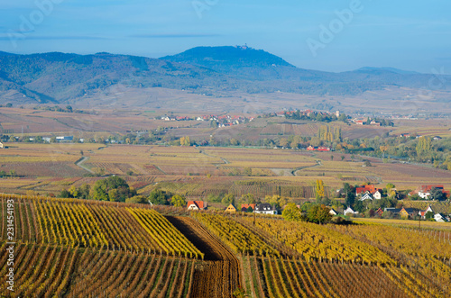 Blick vom Aussichtspunkt Sigolsheim auf das bunte Elsass im Spätherbst