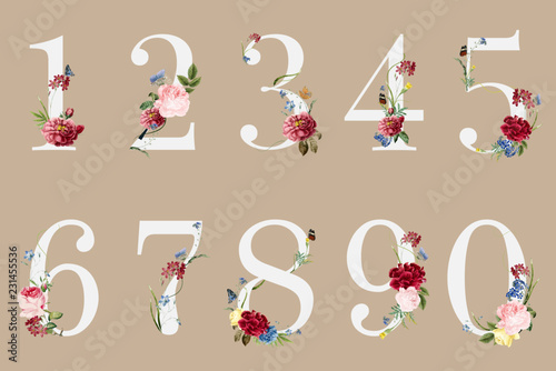 Botanical numbers with tropical flowers illustration