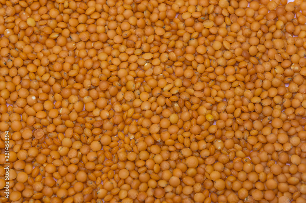 organic natural orange red lentils close-up food