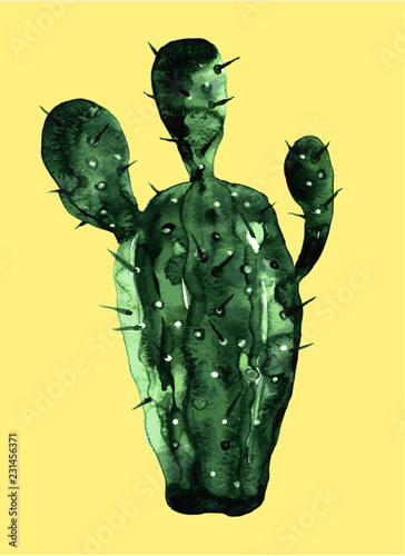 cactus