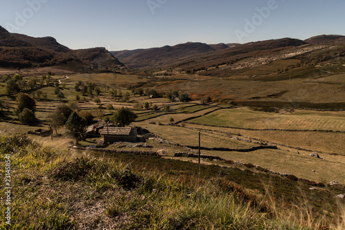 small farm with green fields photo