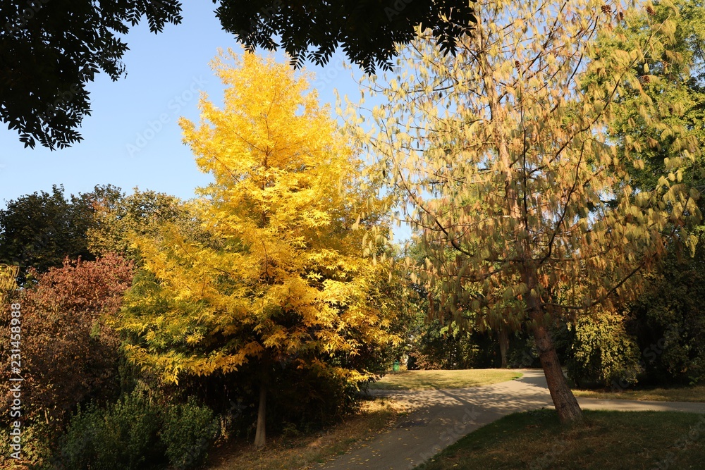 Naklejka premium An autumn day