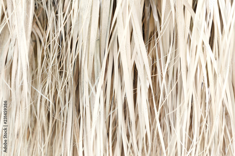 Old weathered coconut leaf roof of hut. Dried banana palm leaves background. Dried palm leaves texture. Close up organic gray palm leaves pattern background and texture. Abstract background. Old weathered coconut leaf roof of hut. Dried banana palm leaves background. Dried palm leaves texture. Close up organic gray palm leaves pattern background and texture. Abstract background.