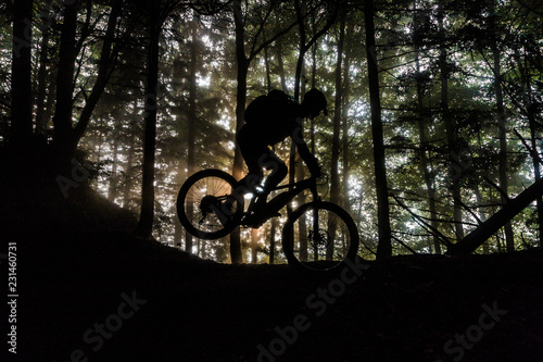 MTB Fahrt durch den Wald photo