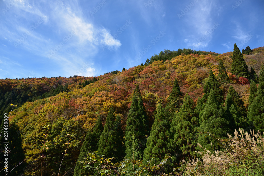 日本の秋の紅葉 日本の秋の紅葉