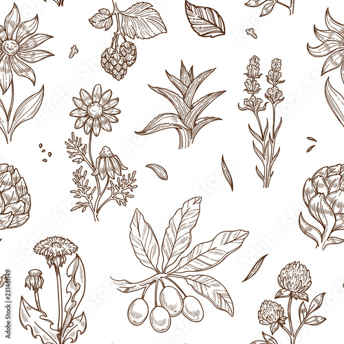 Medical herbs and herbal medicine plants sketch icons seamless pattern.