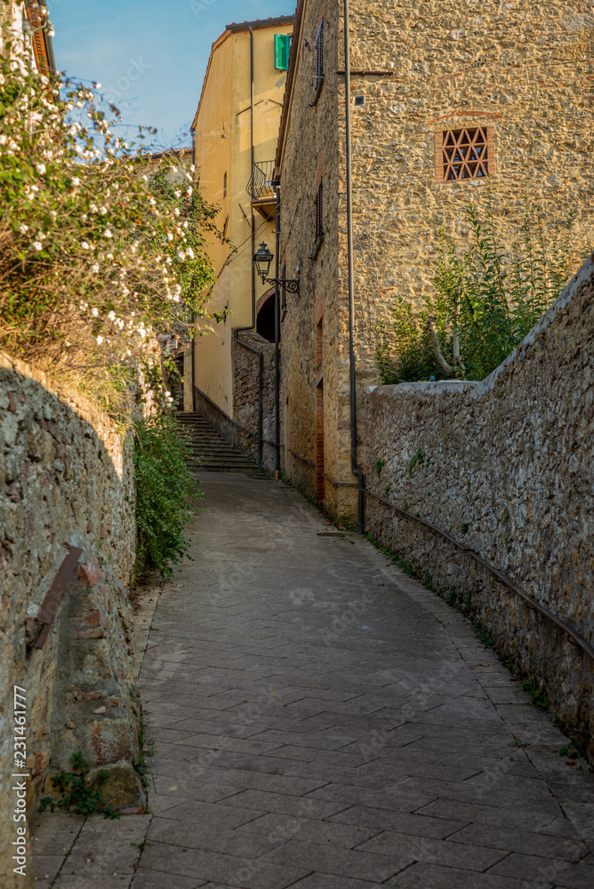 Colorful narrow streets in the medieval town of Guardistallo in Tuscany - 7