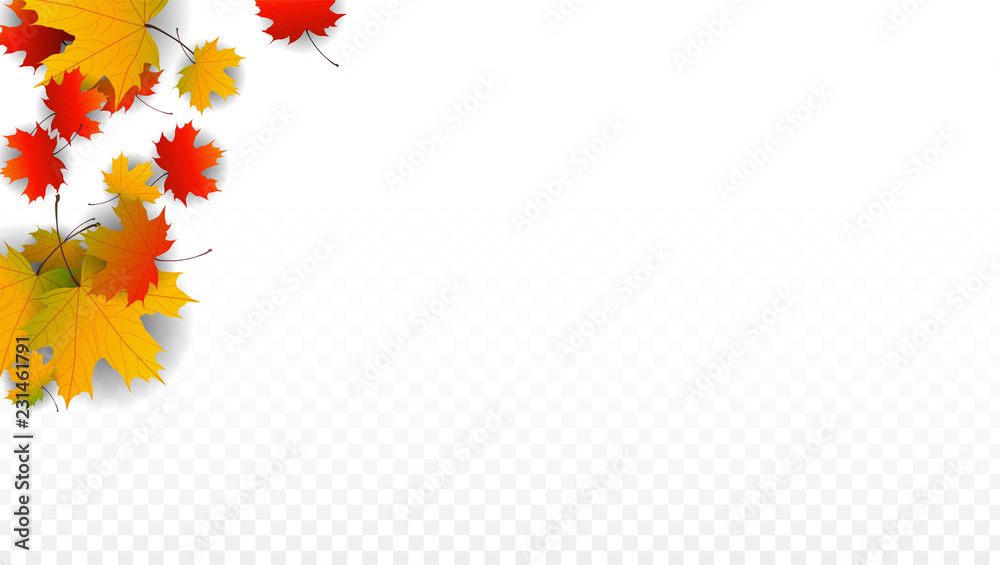September Vector Background with Golden Falling Leaves. Autumn Illustration with Maple Red, Orange, Yellow Foliage. Isolated Leaf on Transparent Background. Bright Swirl. Suitable for Posters. September Vector Background with Golden Falling Leaves. Autumn Illustration with Maple Red, Orange, Yellow Foliage. Isolated Leaf on Transparent Background. Bright Swirl. Suitable for Posters.
