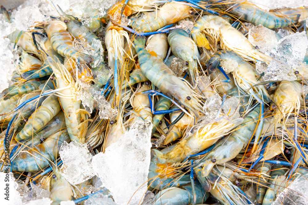Fresh Shrimp in the seafood market
