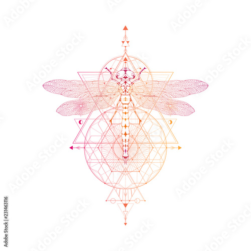 Vector illustration with hand drawn dragonfly and Sacred geometric symbol on white background. Abstract mystic sign.