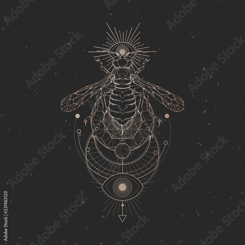 Vector illustration with hand drawn wasp and Sacred geometric symbol on black vintage background. Abstract mystic sign.
