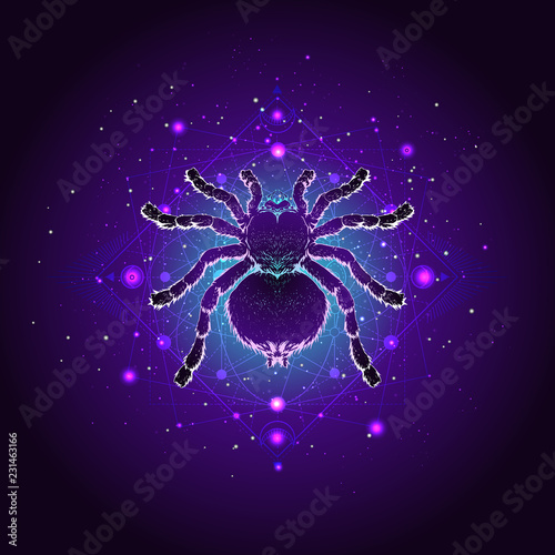 Vector illustration with hand drawn spider tarantula and Sacred geometric symbol against the starry sky. Abstract mystic sign.