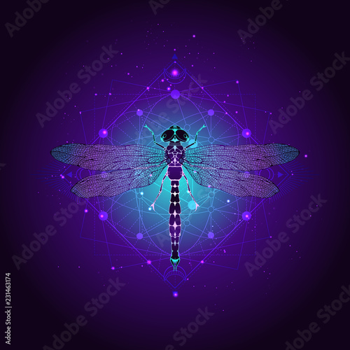 Vector illustration with hand drawn dragonfly and Sacred geometric symbol against the starry sky. Abstract mystic sign.