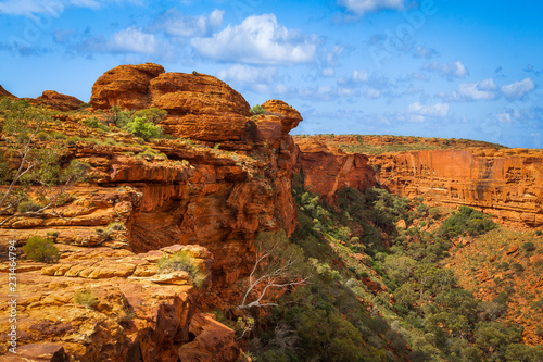 Panoramic view with rock formations of Kings Canyon, Northern Territory, Australia