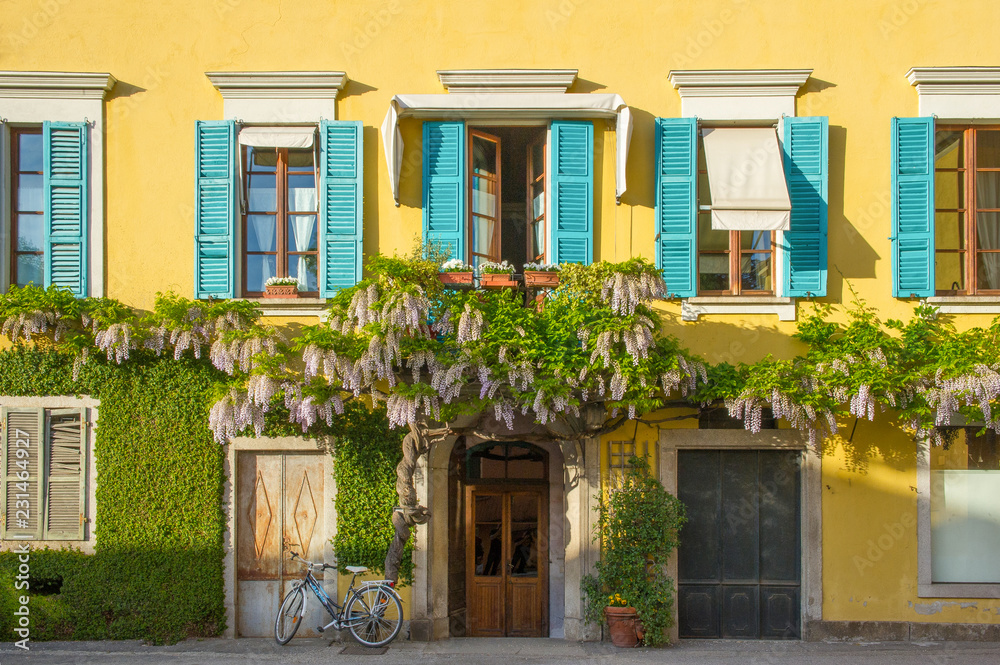 colorful house facade with wisteria flowering plants
