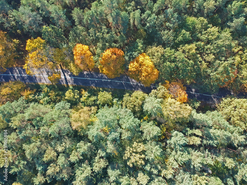 Aerial view on straight hidden asphalt road in mixed forest during autumn