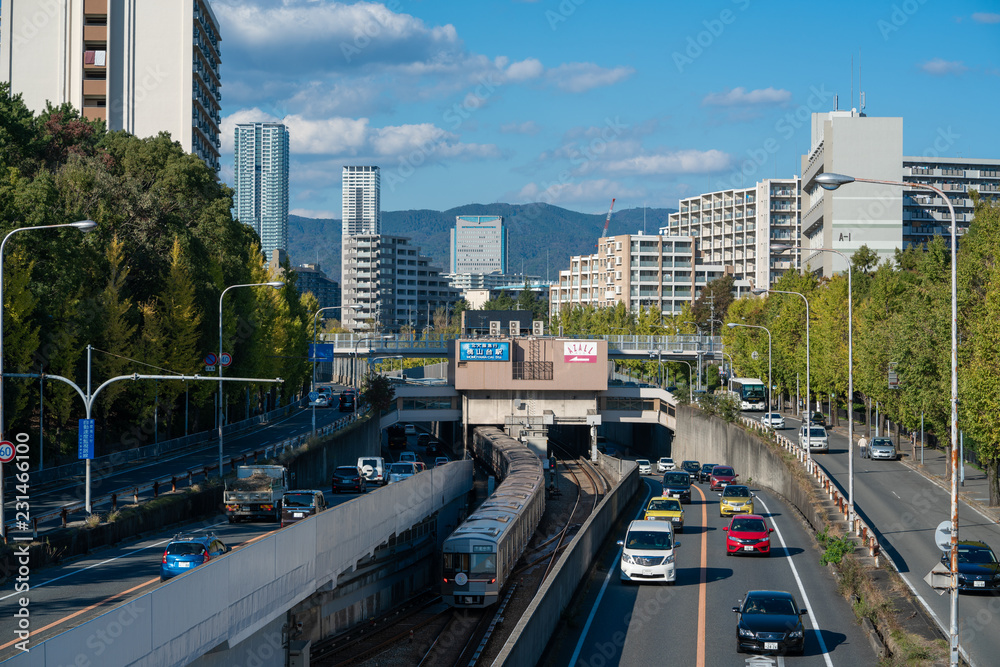 Fototapeta premium 大阪北摂 桃山台周辺都市景観